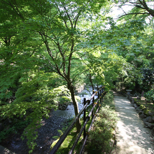 姉妹館「海石榴」の散策路