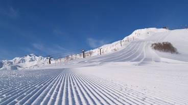 スノー スポーツとスキー / 1