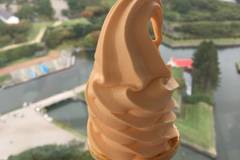 五稜郭タワー 展望カフェ