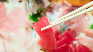 旅館のお食事処 / 16