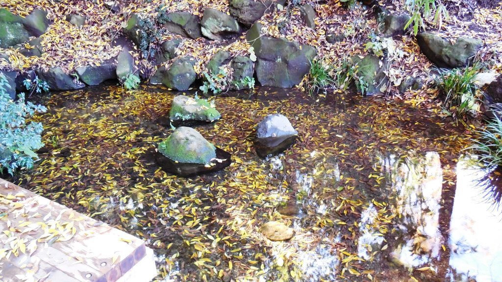 湧き水の傍に行ってみよう！887813