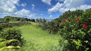 バーベキュー / ピクニック エリア / 2