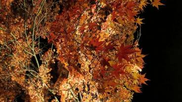 施設の敷地 / 14