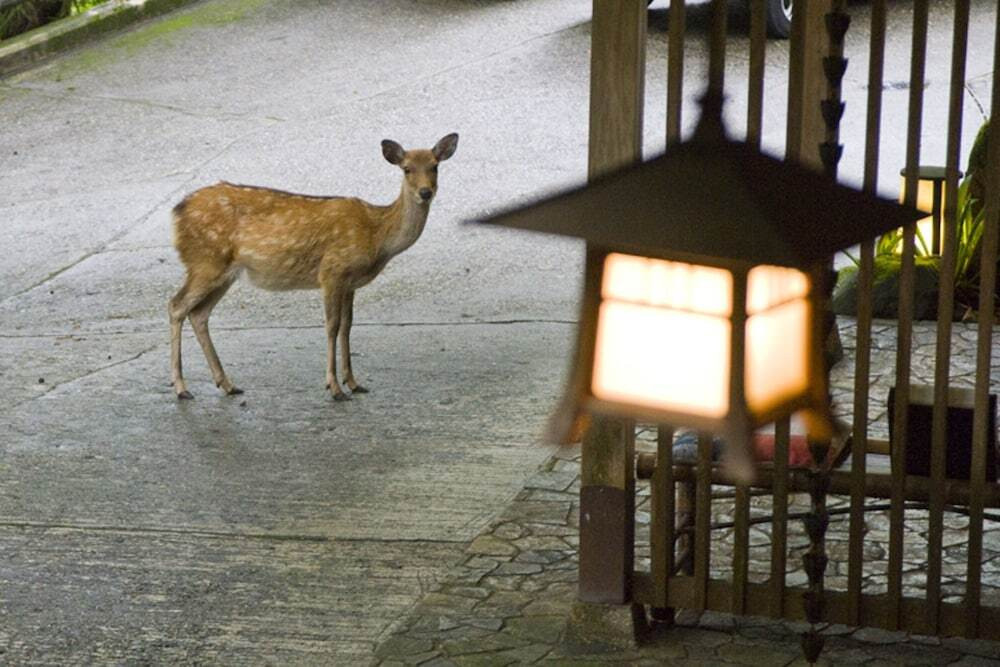 奈良「春日奥山 月日亭」で静かな時間を過ごしませんか？3725350