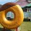 入口からすでにインスタ映え！千葉「HAPPY DONUT」