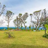 ガーデンヴィラ白浜（静岡県 ペンション） / 4