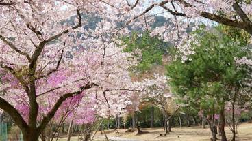 シティ ビュー / 11