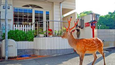 メイン イメージ / 1