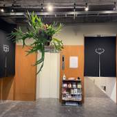 ゲストハウスサンライン別府（大分県 ゲストハウス・ホステル・ドミトリー） / 2