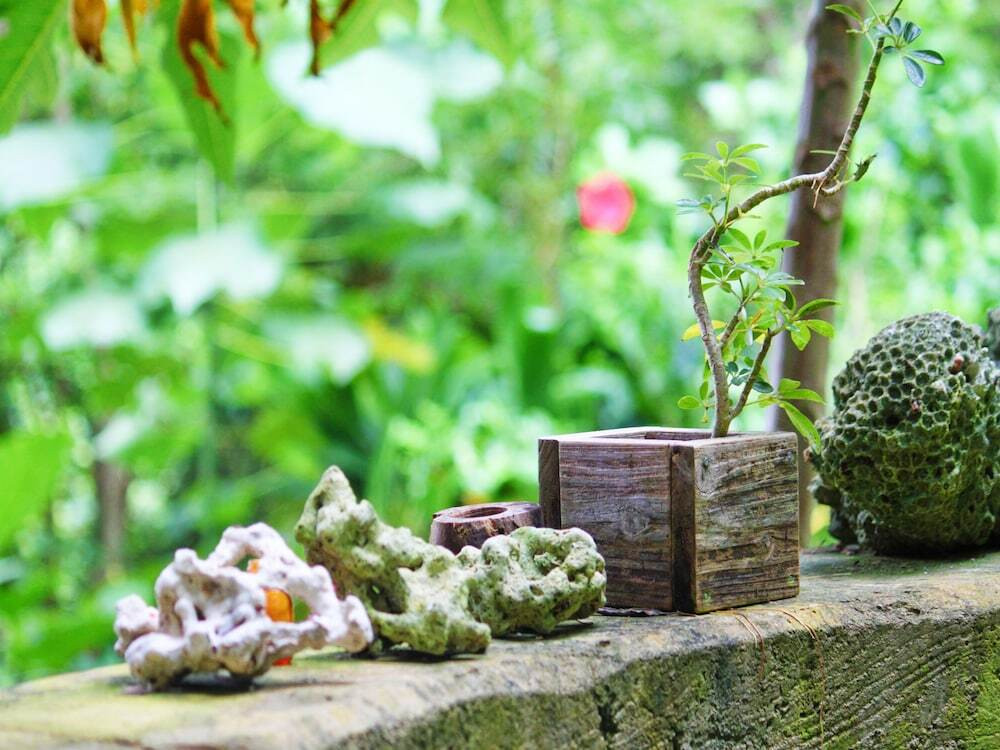 施設からの眺望