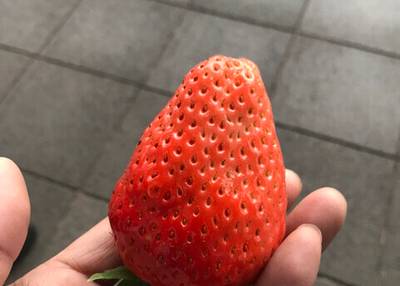 道の駅 なら歴史芸術文化村