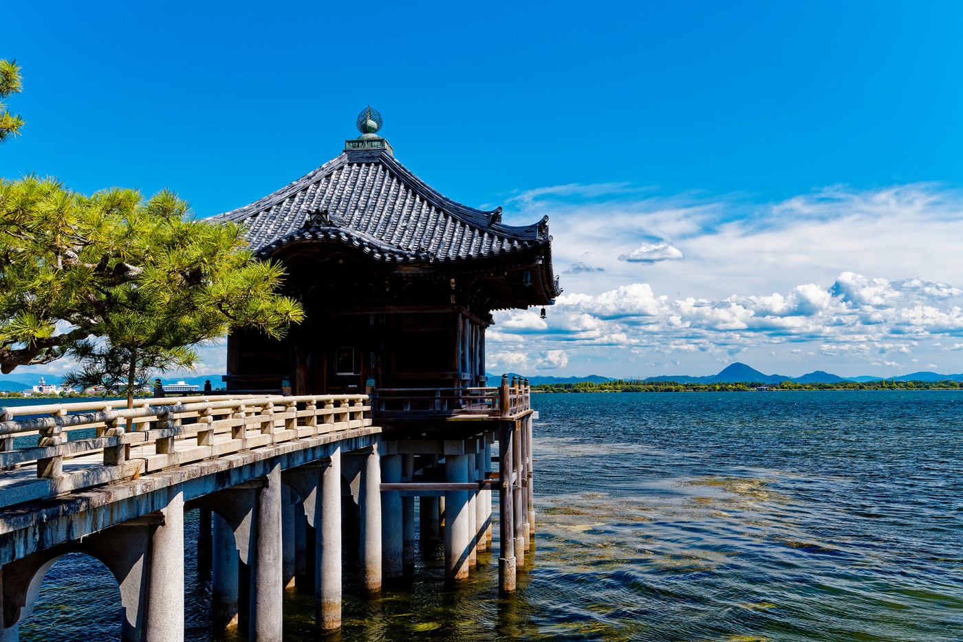 琵琶湖一望の展望大浴場・客室の広い旅館3396670