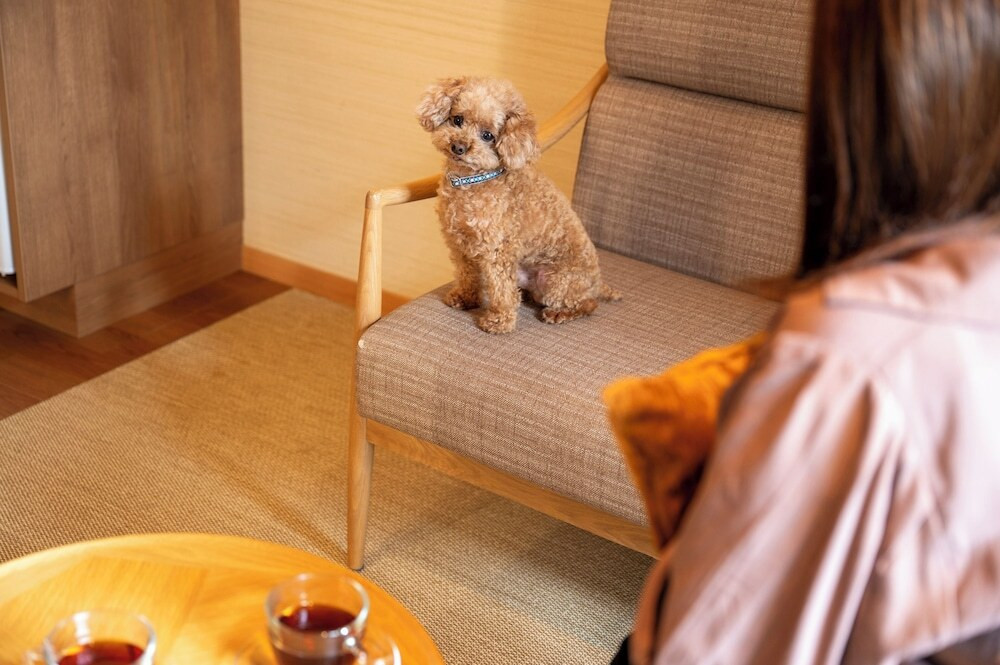 ペット同伴可