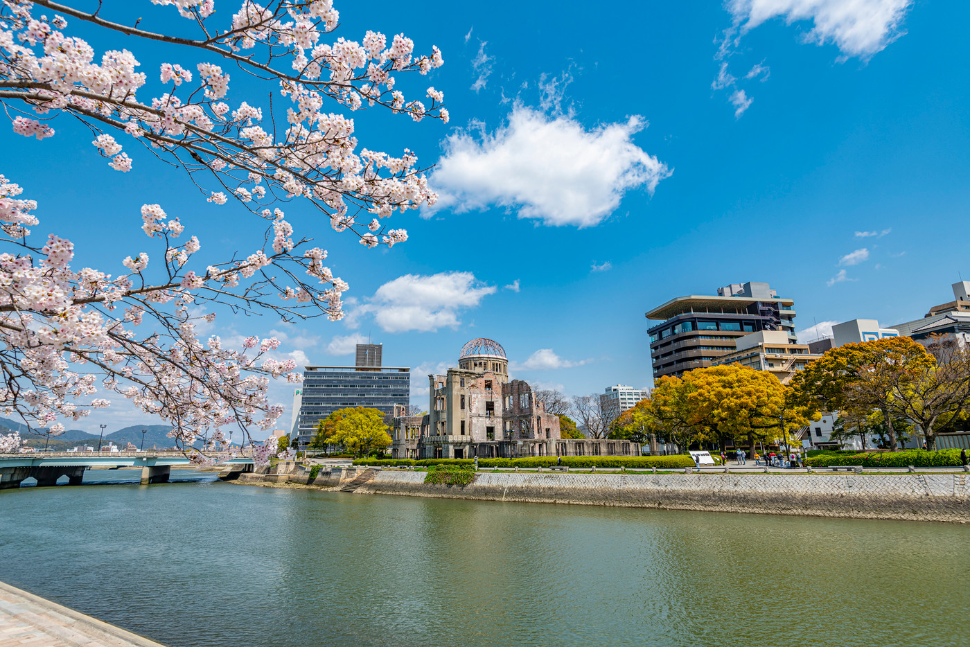 満開の桜と原爆ドーム