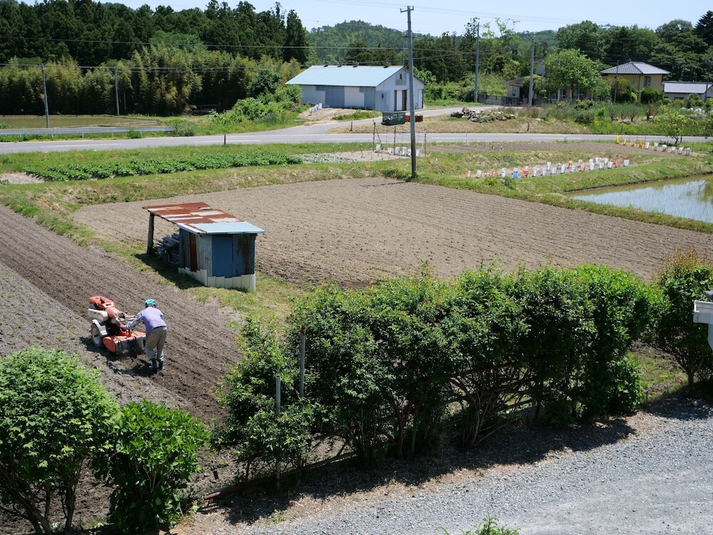 施設からの眺望