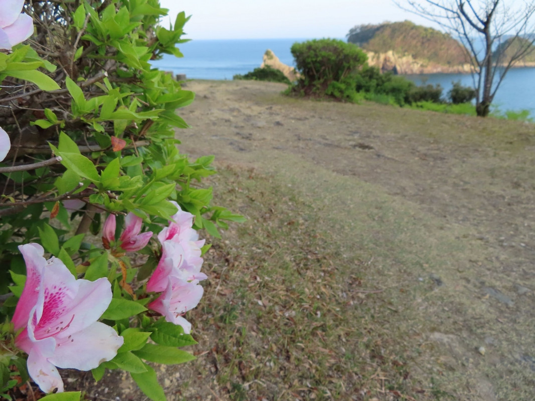 山上の見晴らし台からは紀の松島が見えていました。