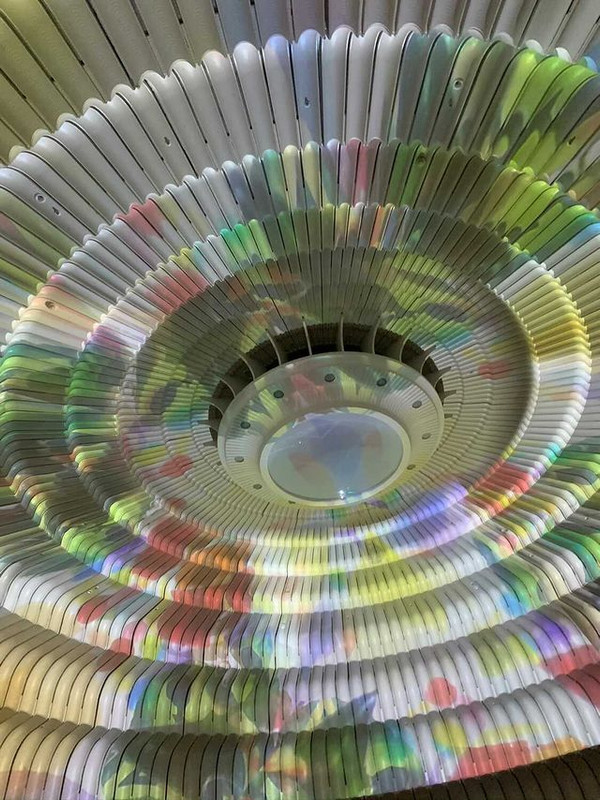 ___kii.eveさんの写真 / 1