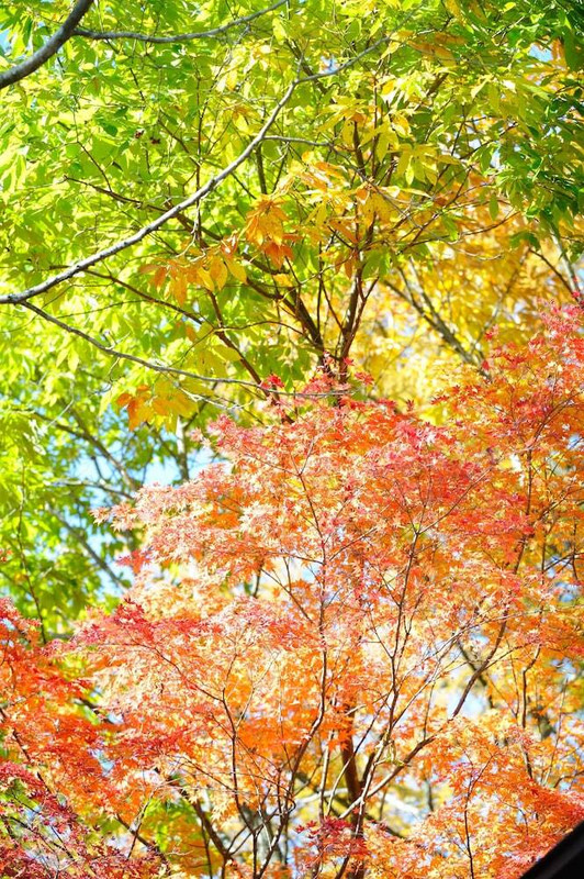 施設からの眺望