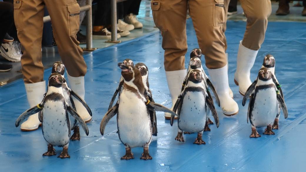 鳥羽水族館③ / 4