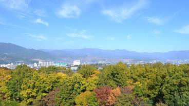 施設からの眺望 / 11