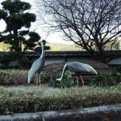 出水唯一の露天風呂付天然温泉の宿 HOTEL KING(ホテル キング)(鹿児島県 シティホテル) / 4