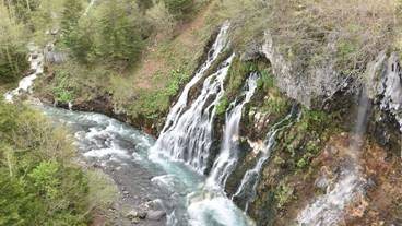 観光スポット / 5