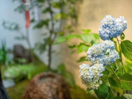 TABITABI STAY 神泉 / 2