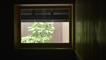 施設からの眺望 / 15