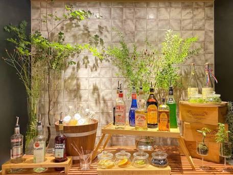 高濃度炭酸泉 茜草の湯 スーパーホテルPremier赤坂 / 5