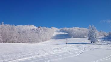 スノー スポーツとスキー / 28