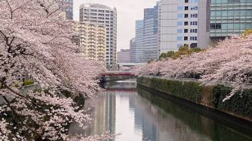 ウォーター ビュー / 12