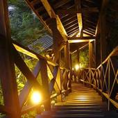 浮羽別館 新紫陽（大分県 旅館） / 5