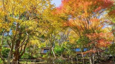 施設の敷地 / 10