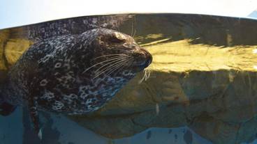 観光スポット / 5