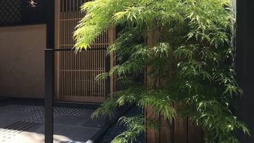 外観 / 4
