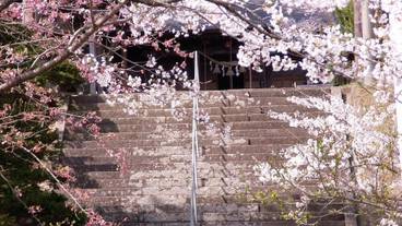 施設の敷地 / 13