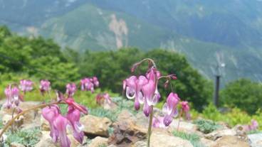 施設の敷地 / 13