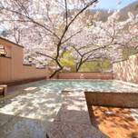 今年のお花見は、旅館で♪お部屋や露天風呂で桜を楽しめる「お花見宿」9選