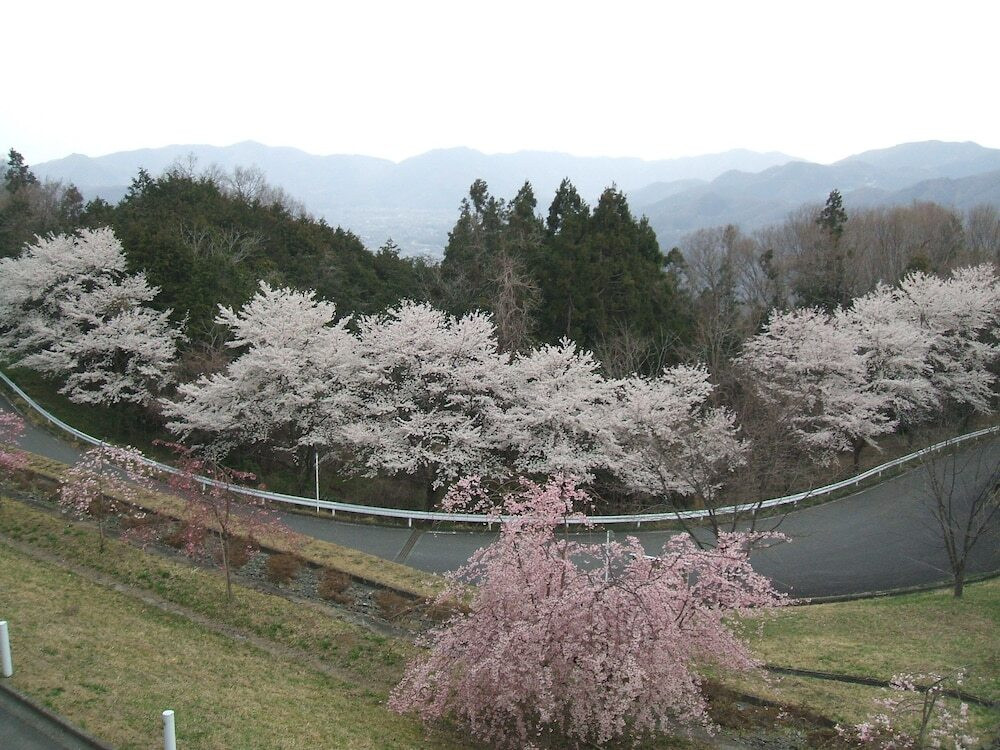 施設からの眺望