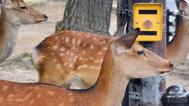 シティ ビュー / 19