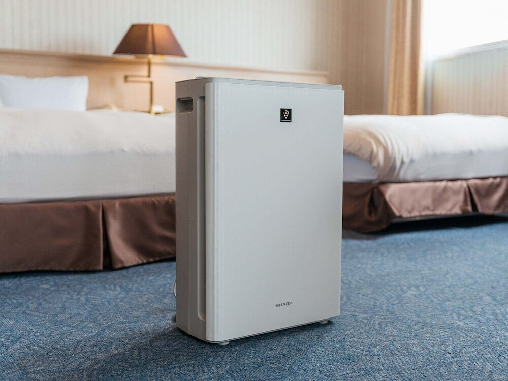 客室の設備とサービス