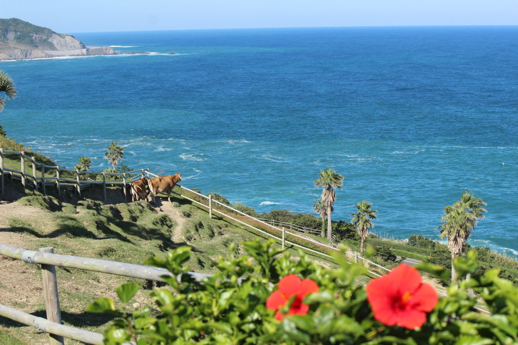 宮崎県で、自分をじっくり癒す一人旅4755412