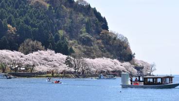 ランド ビュー / 39