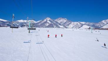 観光スポット / 23