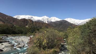 マウンテン ビュー / 20