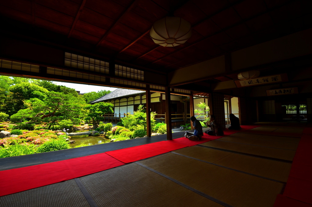 「芙蓉池」と池泉回遊式庭園1026952