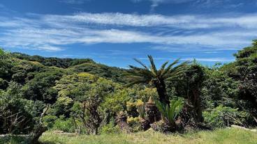 施設からの眺望 / 3
