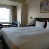 ホテルグランヒルズ静岡(BBHホテルグループ)(静岡県 シティホテル) / 2