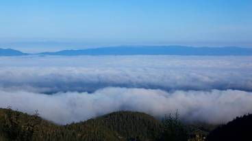 施設の敷地 / 20