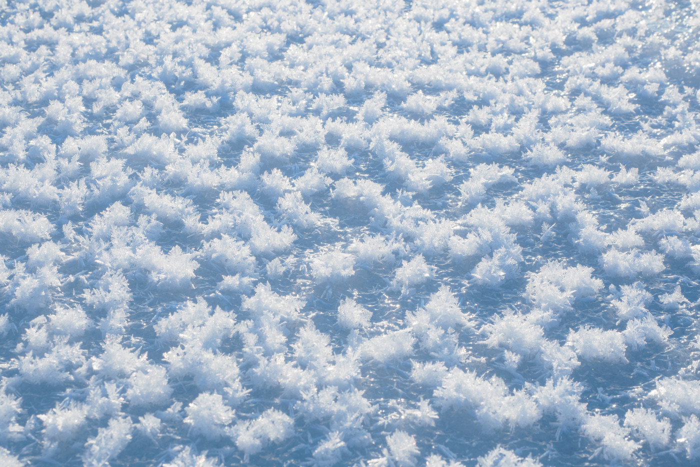 フロストフラワー